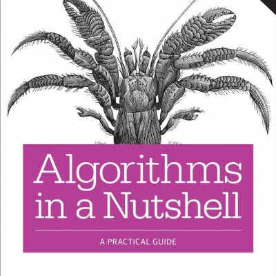 Algorithms in a Nutshell