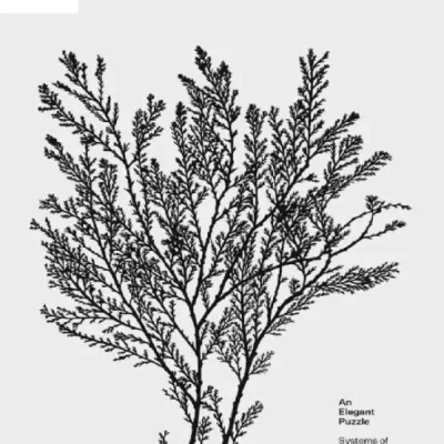 An Elegant Puzzle Systems of Engineering Management - Hanoi Bookstore