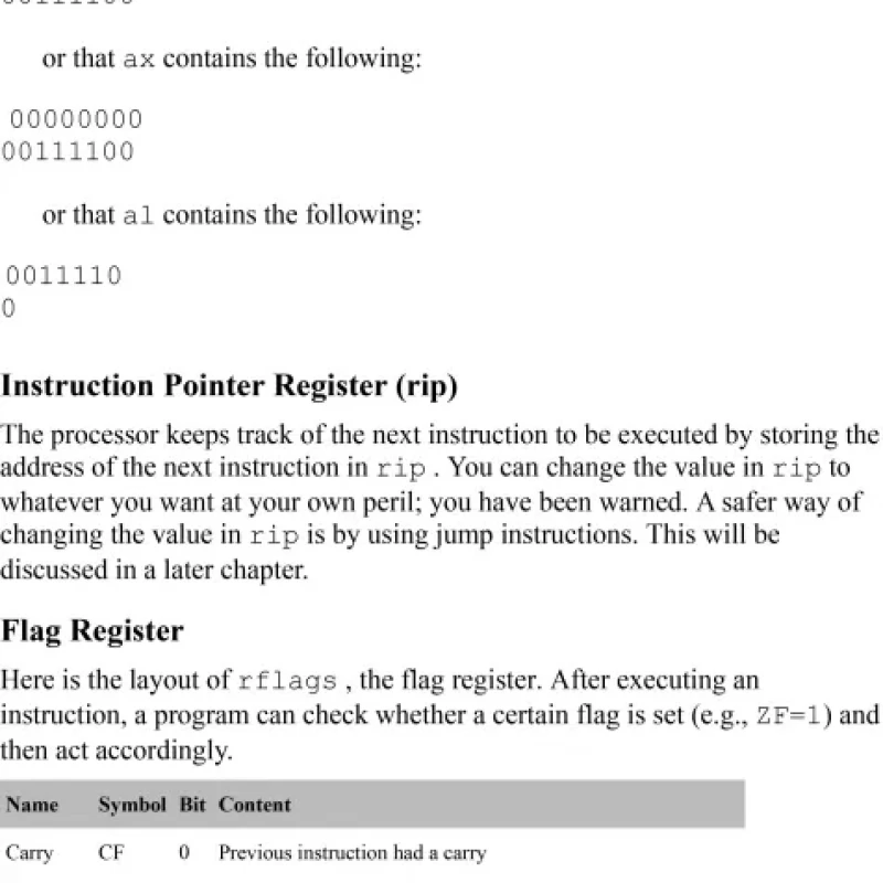 Beginning x64 Assembly Programming sách gia công