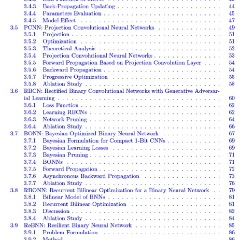 Binary Neural Networks Algorithms, Architectures, and Applications