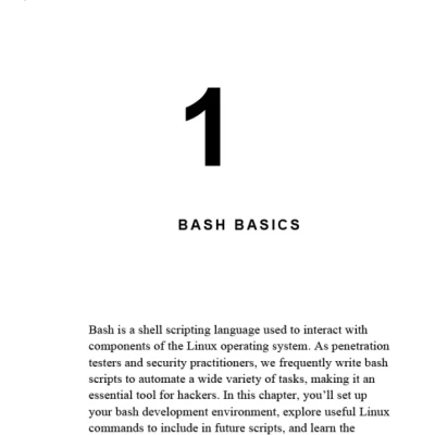 Black Hat Bash - Bash Scripting for Hackers and Pentesters - Hanoi Bookstore