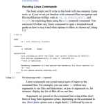 Black Hat Bash - Bash Scripting for Hackers and Pentesters - Hanoi Bookstore