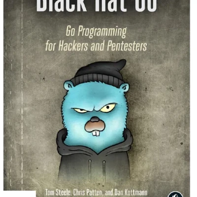 Black Hat Go Go Programming for Hackers and Pentesters - Hanoi Bookstore