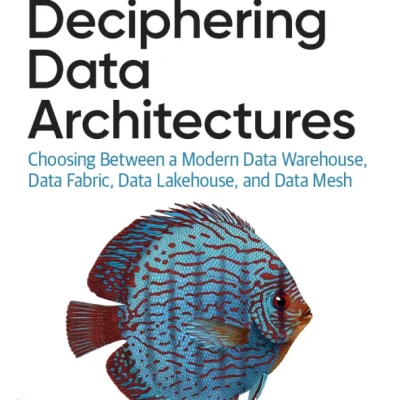 Deciphering Data Architectures