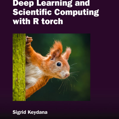 Sách Deep Learning and Scientific Computing with R torch