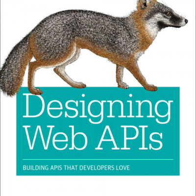 Designing Web APIs Building APIs That Developers Love