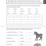 DK Workbooks Language Arts, Math and Science, Grade 3 ( sách đen trắng )
