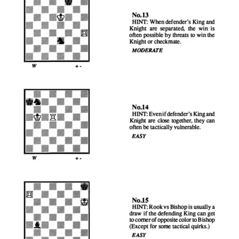 Endgame Challenge