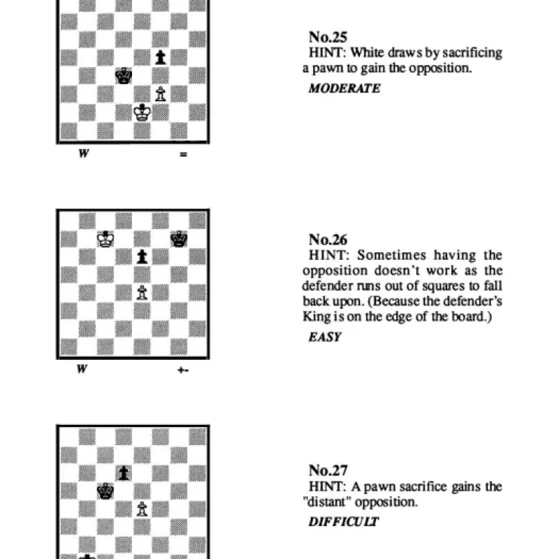 Endgame Challenge