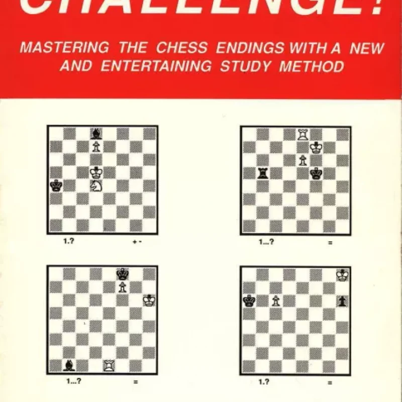 Endgame Challenge
