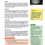 Essential Biology for Cambridge IGCSE