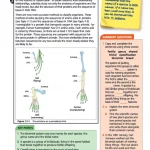 Essential Biology for Cambridge IGCSE