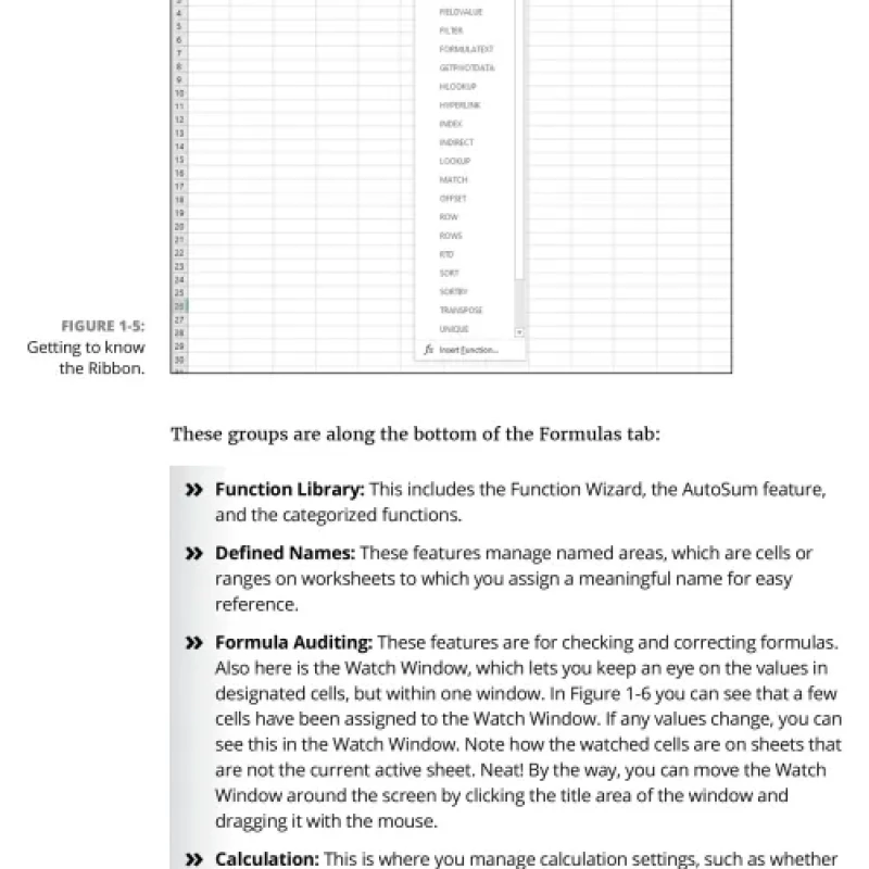Excel Formulas Functions For Dummies, 6th Edition