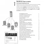 Head First WordPress