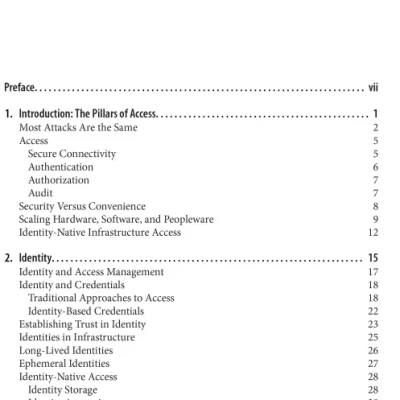 Identity-Native Infrastructure Access Management