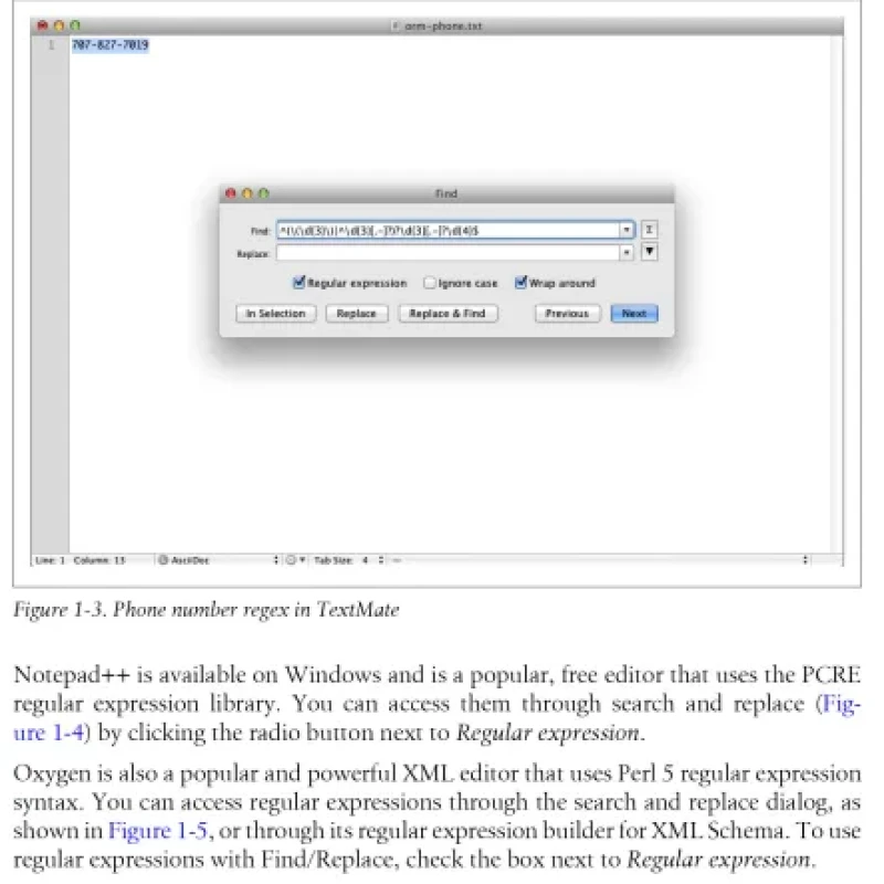 Introducing Regular Expressions - Hanoi Bookstore