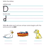 Kindergarten Basic Skills