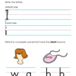 Kindergarten Basic Skills