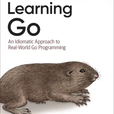 Learning Go