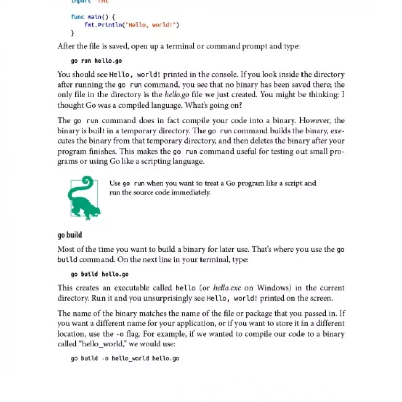 Learning Go