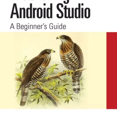 Mastering Android Studio A Beginners Guide