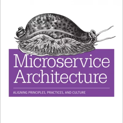 Microservice Architecture Aligning Principles, Practices, and Culture