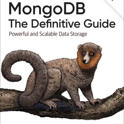 MongoDB The Definitive Guide