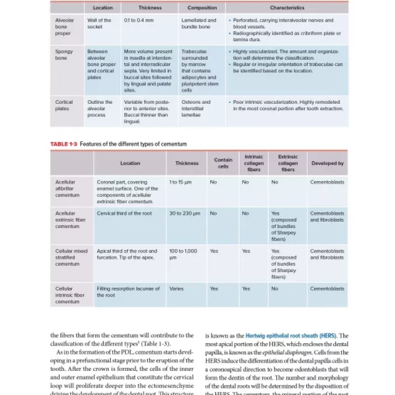 Periodontics The Complete Summary