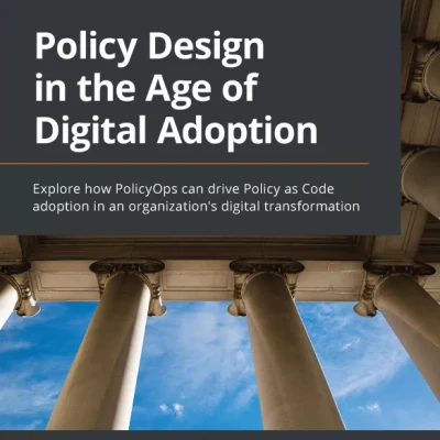 Policy Design in the Age of Digital Adoption
