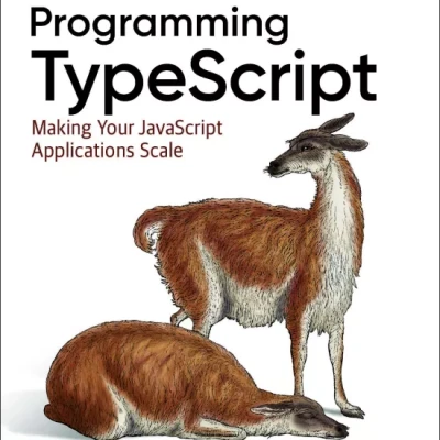 Programming TypeScript Making Your JavaScript Applications Scale