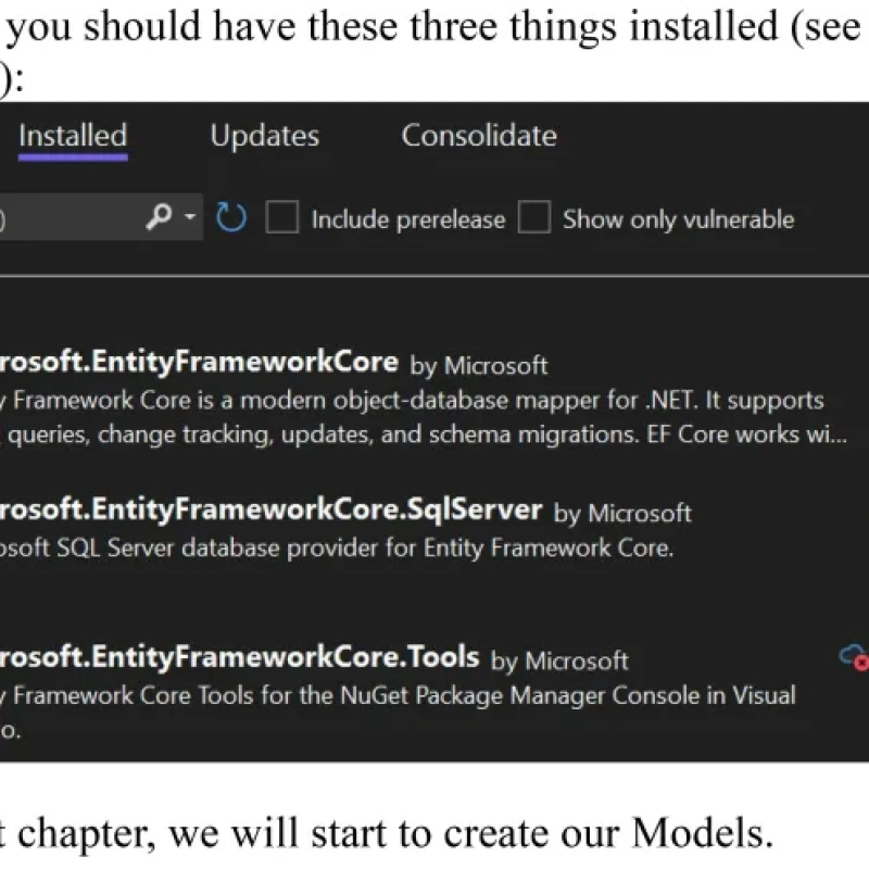 Sách ASP.NET Core 8 MVC Crash Course