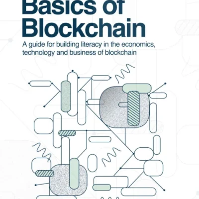 Sách Basics of Blockchain A guide for building literacy in the economics, technology, and business of blockchain