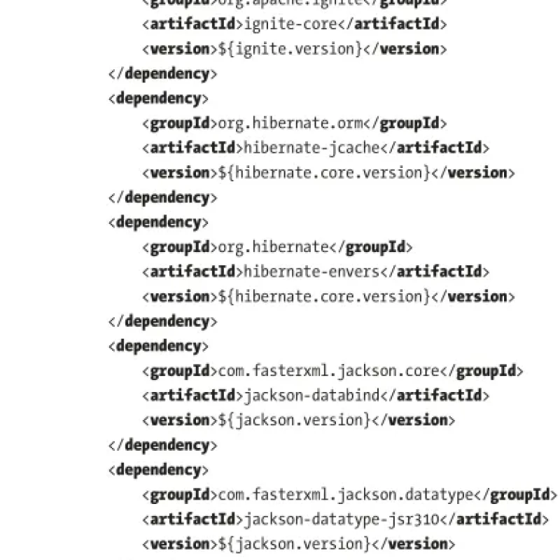 Sách Beginning Hibernate 6 Java Persistence from Beginner to Pro