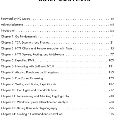 Sách Black Hat Go Go Programming For Hackers and Pentesters