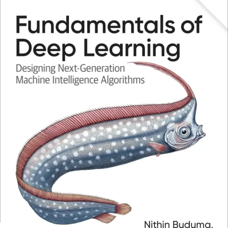 Sách Fundamentals of Deep Learning Designing Next-Generation Machine Intelligence Algorithms, 2nd Edition