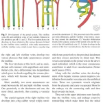 Sách Imaging of the Liver and Intra-hepatic Biliary Tract Volume 1