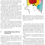 Sách Imaging of the Liver and Intra-hepatic Biliary Tract Volume 1