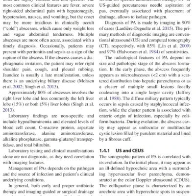 Sách Imaging of the Liver and Intra-hepatic Biliary Tract Volume 2