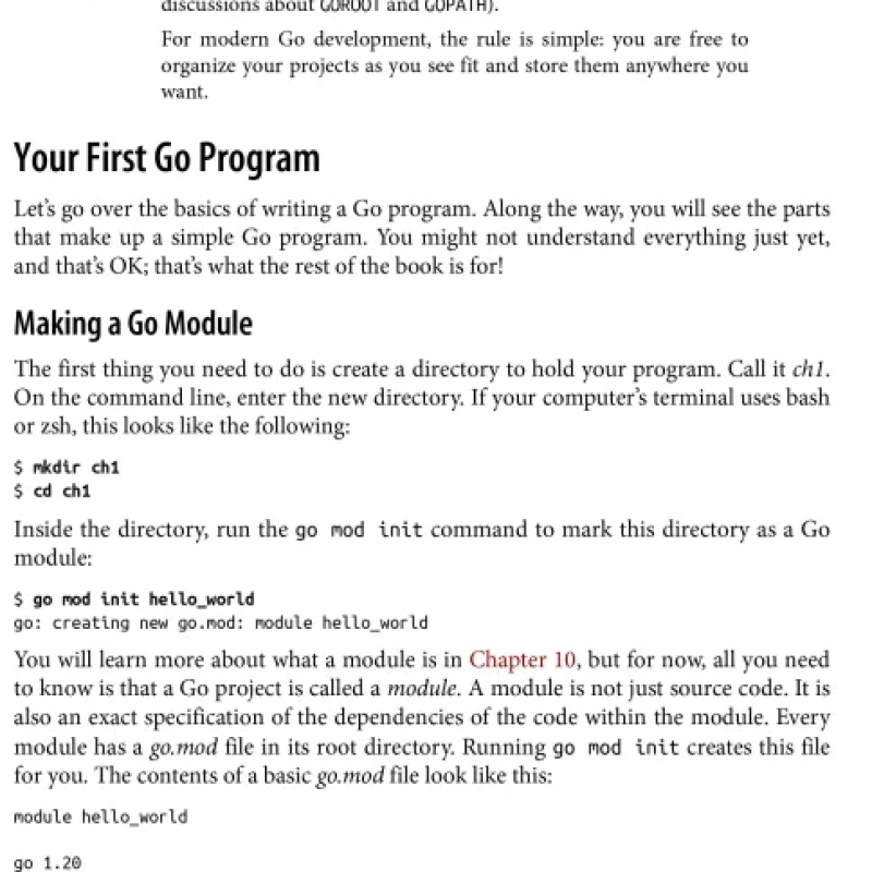 Sách Learning Go An Idiomatic Approach to Real-world Go Programming, 2nd Edition