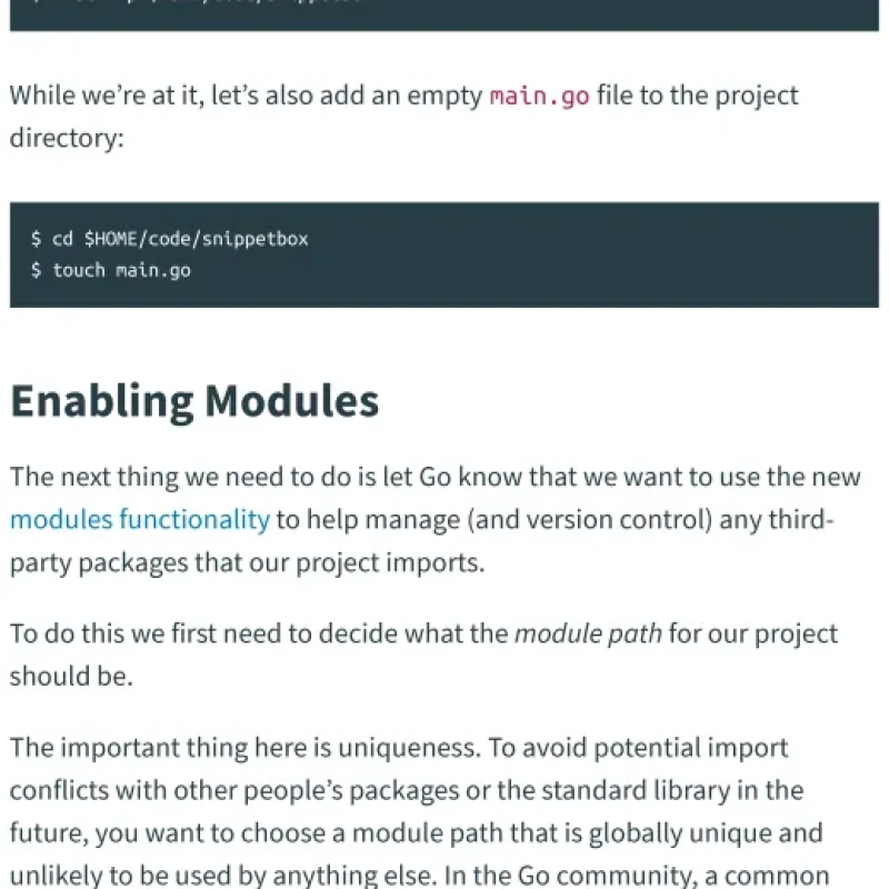 Sách Let’s Go Learn to build professional web applications with Go