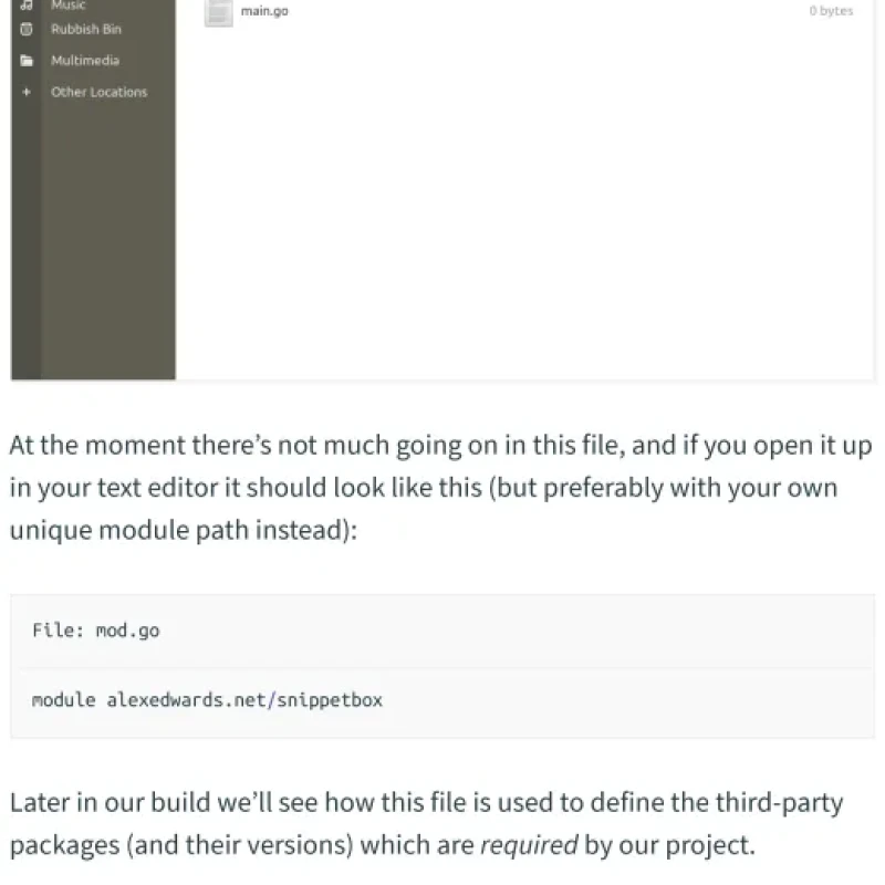Sách Let’s Go Learn to build professional web applications with Go