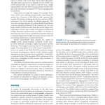 Sách Medical_Microbiology