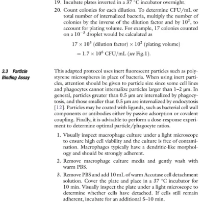 Sách Phagocytosis and Phagosomes 2nd Edition