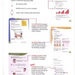 Shaping maths coursebook 2B (Sách màu)