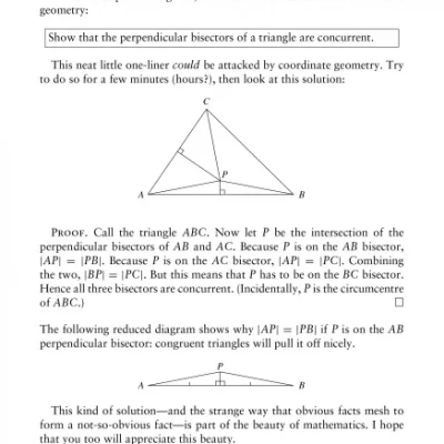 Solving Mathematical Problems