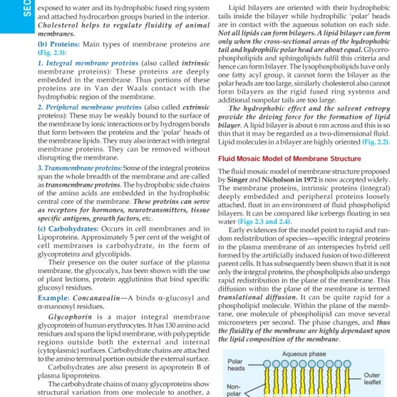 Textbook of Medical Biochemistry