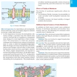 Textbook of Medical Biochemistry