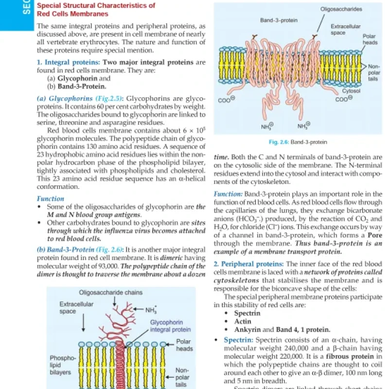 Textbook of Medical Biochemistry