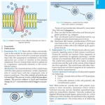 Textbook of Medical Biochemistry