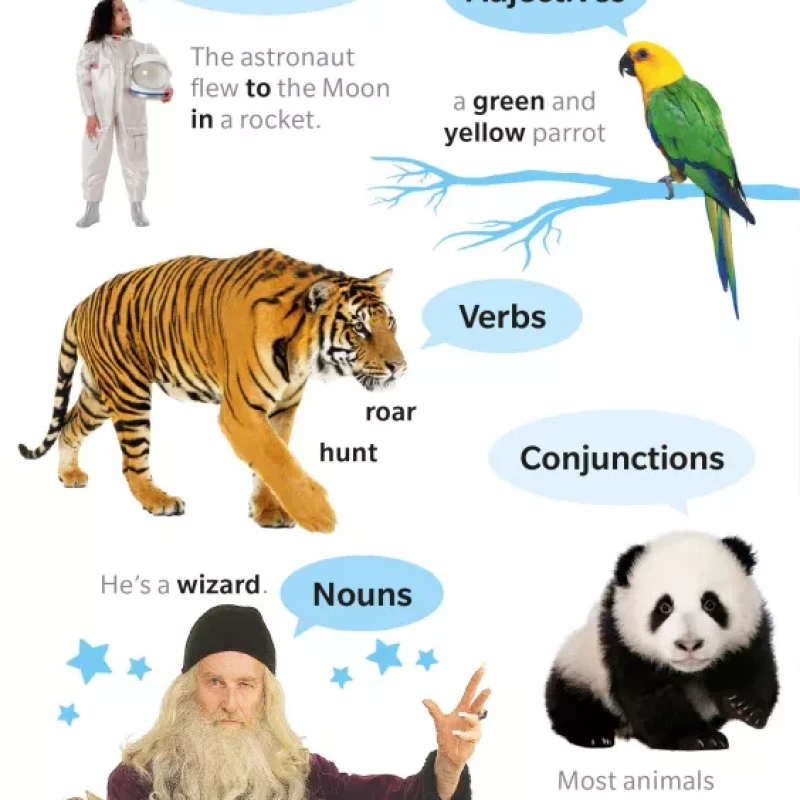 Visual Guide to Grammar and Punctuation ( sách màu )